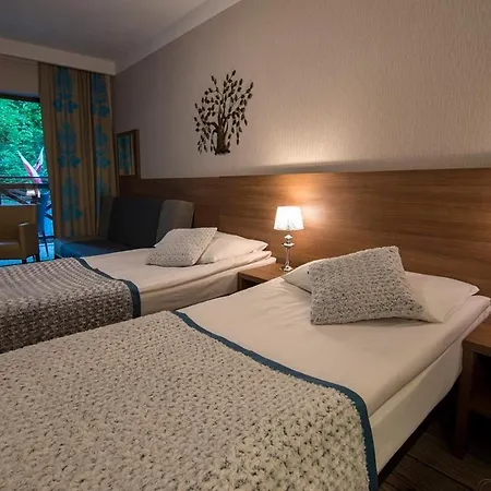 Hotel EUROPA - Górnicza Strzecha-2