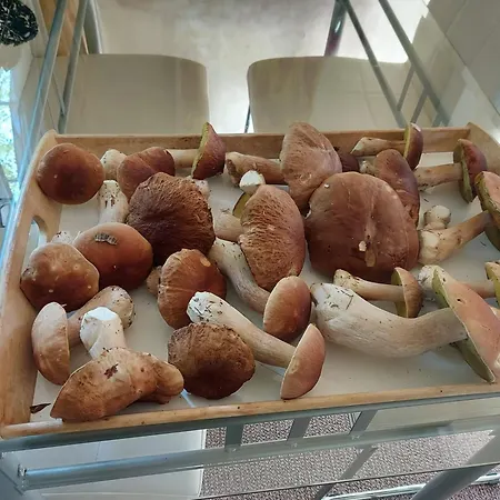 Jw Mazury Domy Wakacyjne Nad Jeziorem-Dom Orzel-2