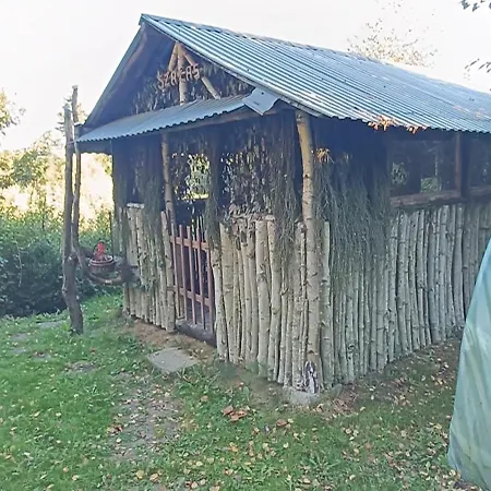 Domek Pod Lasem-2
