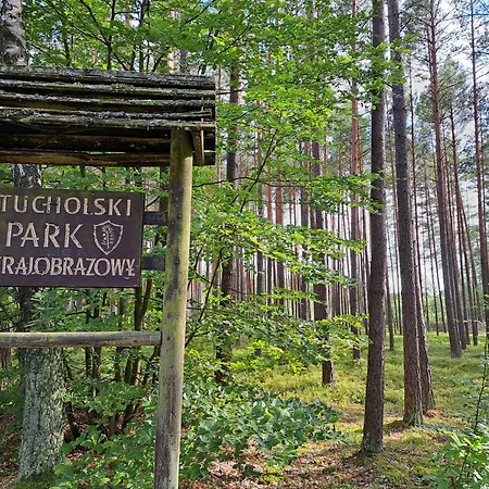 Domki przy jeziorze z prywatną plażą w Borach Tucholskich Pensjonat Alicja wczasy z dziećmi nowe luksusowe domki na skraju jeziora i lasu-3