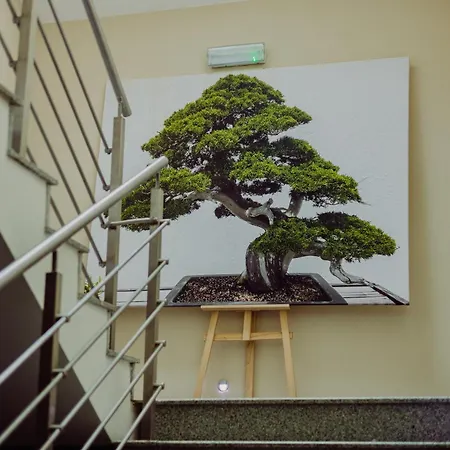 Hotel Bonsai-3