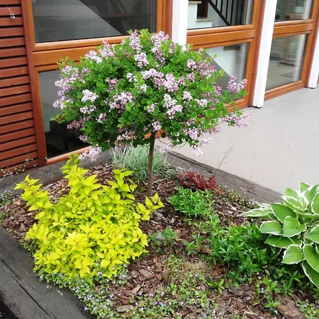 Apartmorze Apartamenty Na Lesnej-3