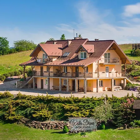 Willa Diana- z panoramą jeziora i gór w Polańczyku-2