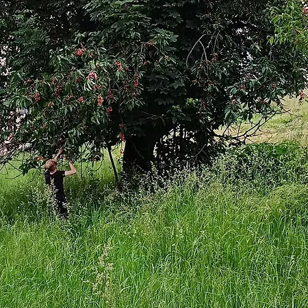 Domek Nad Lasem-3