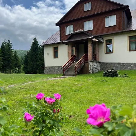 Cicha Dolina-2