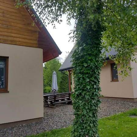 Domki Brzozówka w Bieszczadach-3