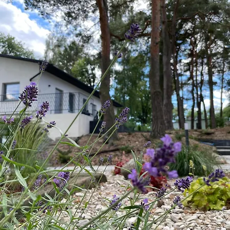 Apartamenty Lesna Plaza-3