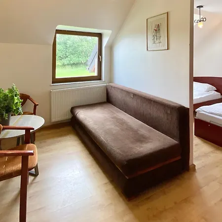 Ski&Spa Zieleniec-3