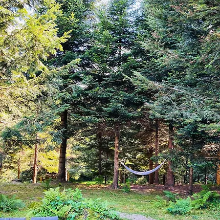 Silence Glamp - Glamping Bieszczady-2