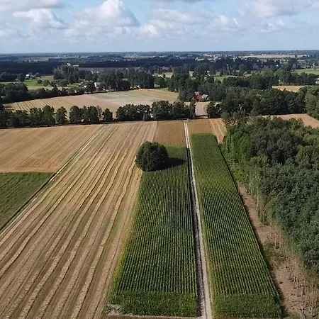 Maciejówka Gospodarstwo Agroturystyczne-3