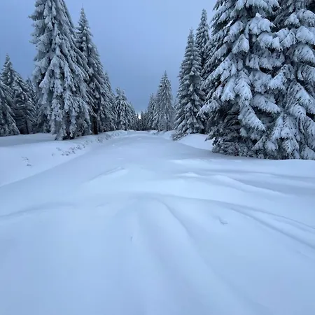 Woodyou - Izerski Resort-2