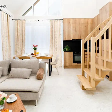 Wonder Home - Domki Hillside tuż przy stoku narciarskim - na terenie kompleksu plac zabaw i zewnętrzna siłownia, sklep, parking-3