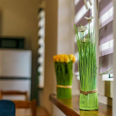 Apartamenty Koło Brzegu-2