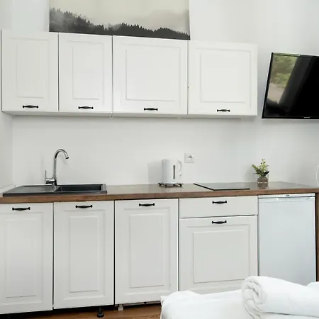Cosy Studios Very Berry In Poznan Close To The Park By Noclegi Renters-2