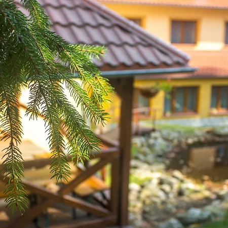 Hotel Dobry Klimat-2