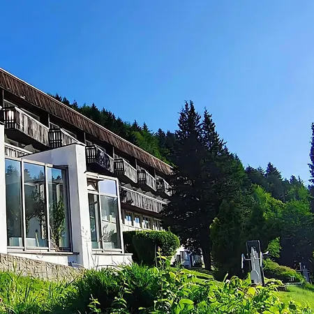 Hotel***NAT Piwniczna Zdrój-2