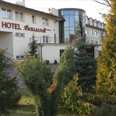 Hotel Ambasador Chojny-2