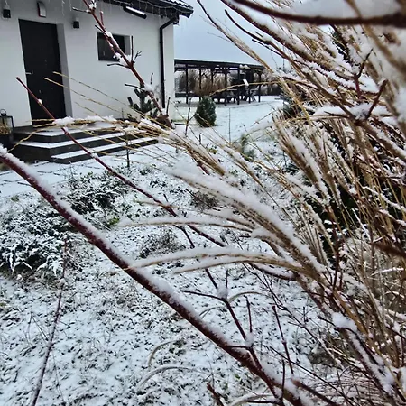 Czarne Nad Białym-2