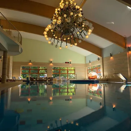 Hotel Mercure Krynica Zdrój Resort&Spa-3