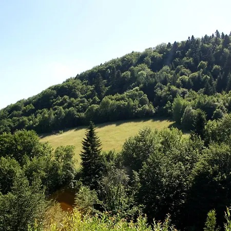Leśny Dworek 1-2
