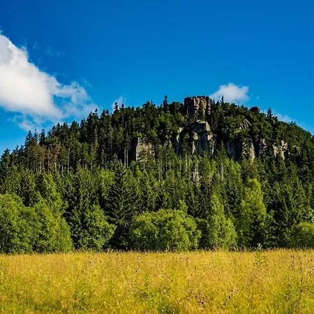 Domek Sudecki Karłów- OW Szczeliniec-2