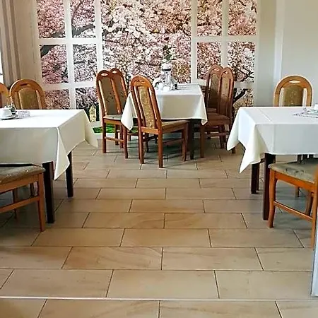Restauracja i Noclegi Pod Sikorką-3
