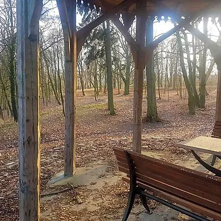 Palac Kwilecki -Agroturystyka Premium & Spa-3