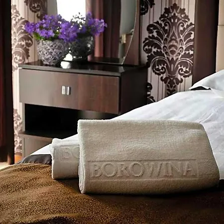 Hotel Borowina-3