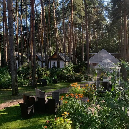 Przystanek Zofiówka-2