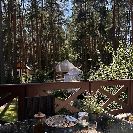 Przystanek Zofiówka-3
