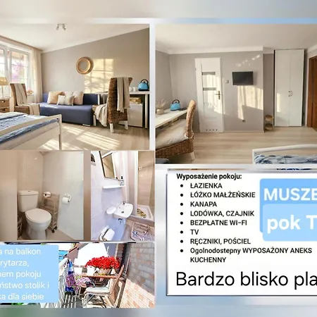Muszelka-2