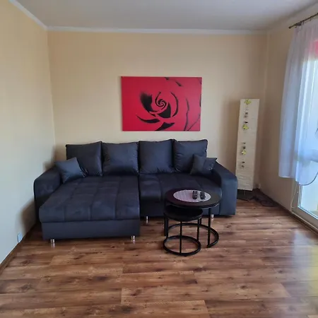 Apartament Palisadowa-3