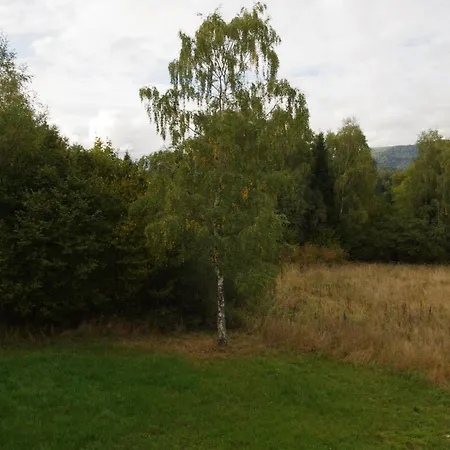 Magiczne Bieszczady - Smerek 86-2