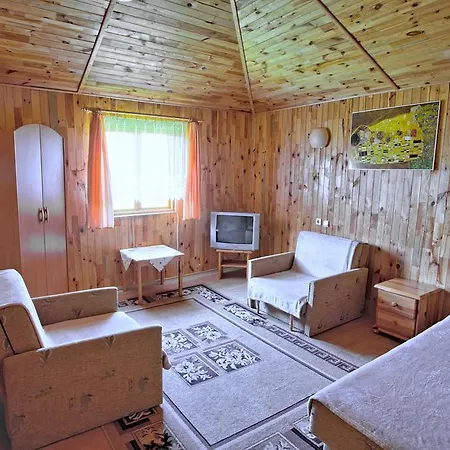 Borowinka-2