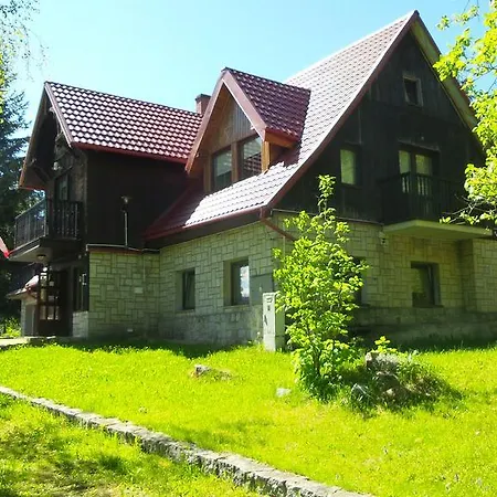 Czajka-3