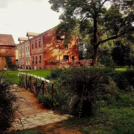 Leniwka-2