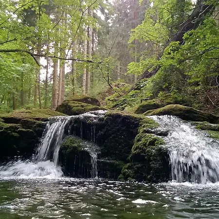 Koralowa Ścieżka-2