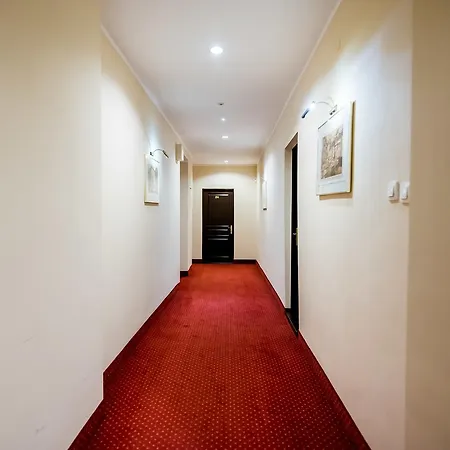 Hotel Piast-3