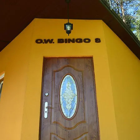 O.W.Bingo-2
