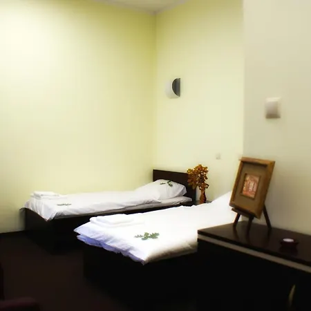Hotel Pod Debem-3