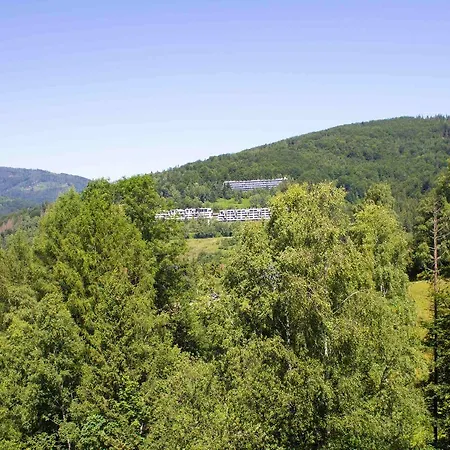 Apartamenty Kamienna z widokiem na góry i 2 km do Wyciągu Skolnity - Dream Apart-2