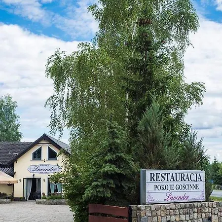 Lavender - Restauracja i pokoje gościnne-3