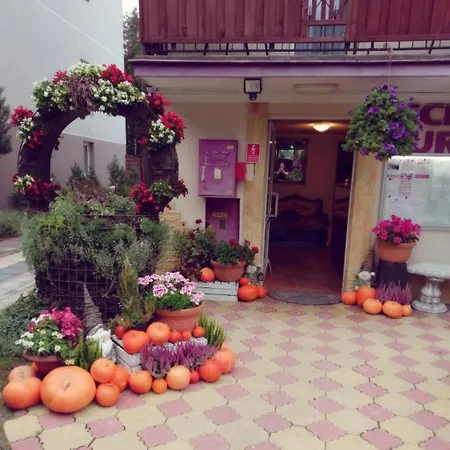 Zloty Zdroj Centrum Rehabilitacji I Medycyny Naturalnej-3
