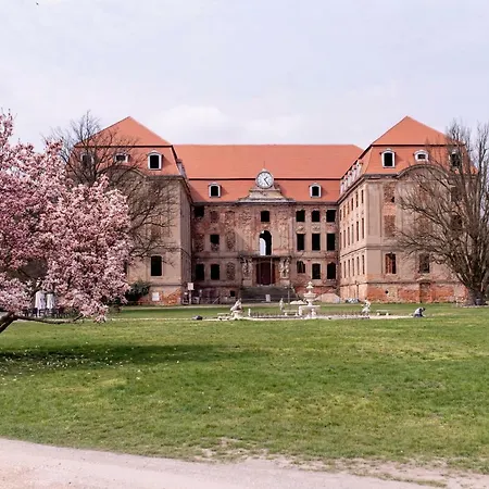 Pałac Brody-3