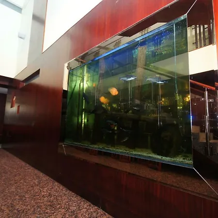 Hotel Aros-2