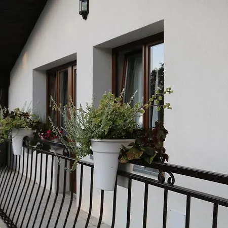 Villa Czarli-3
