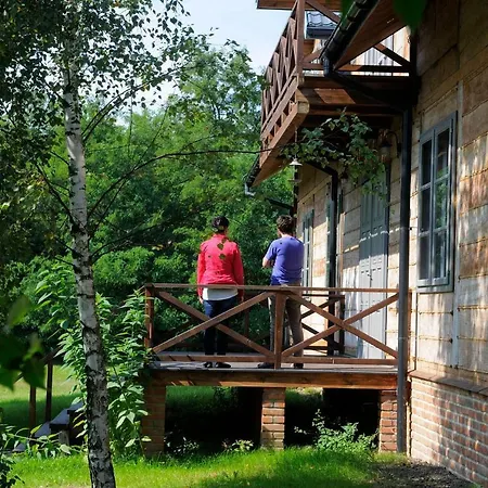 Stara Szkola-2