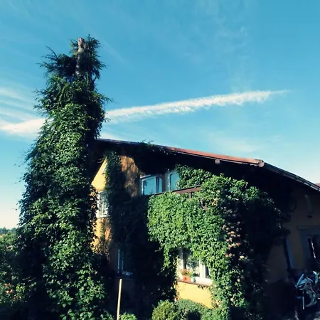 Agroturystyka Tyniok-3