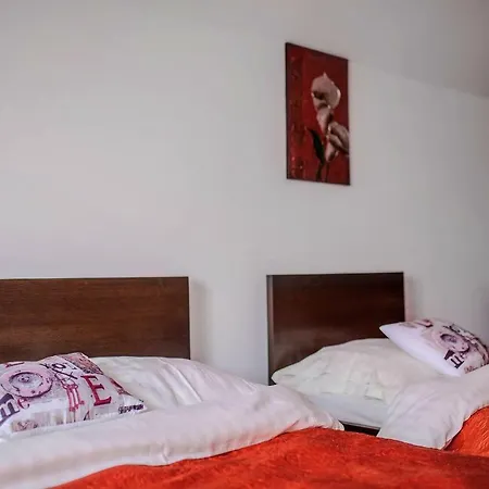 4 strony świata-3