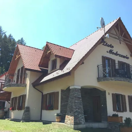 Zlote Modrzewie-3